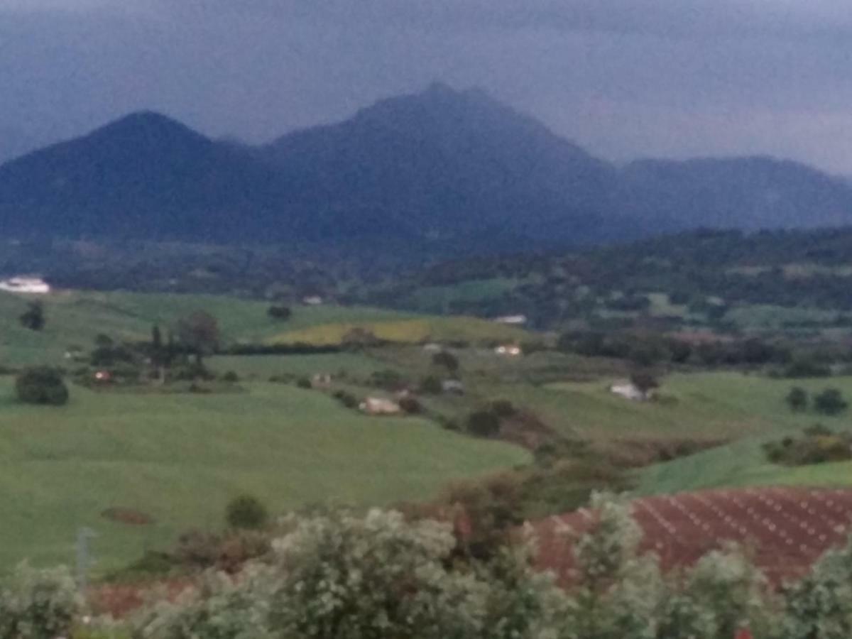 Los Tres Picos Prado Del Rey Exterior photo