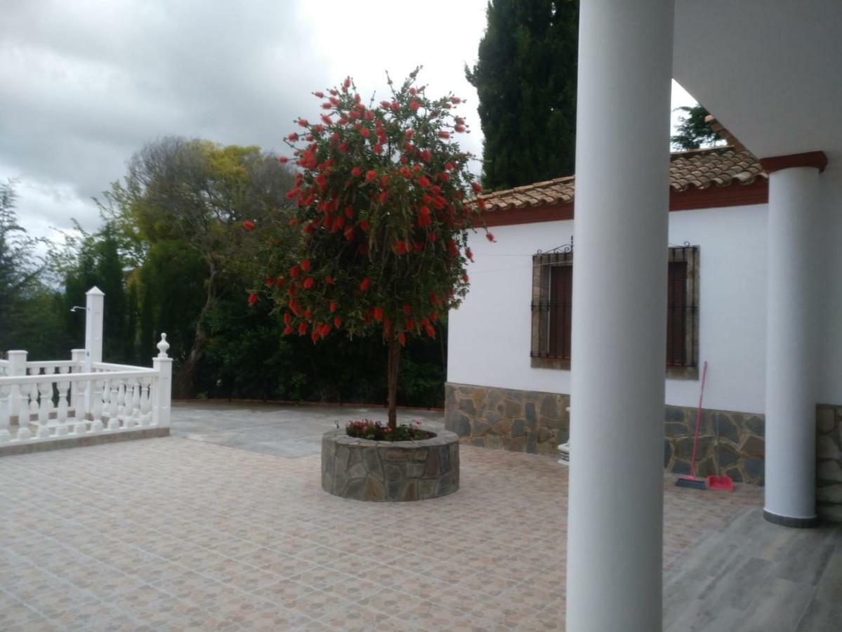Los Tres Picos Prado Del Rey Exterior photo